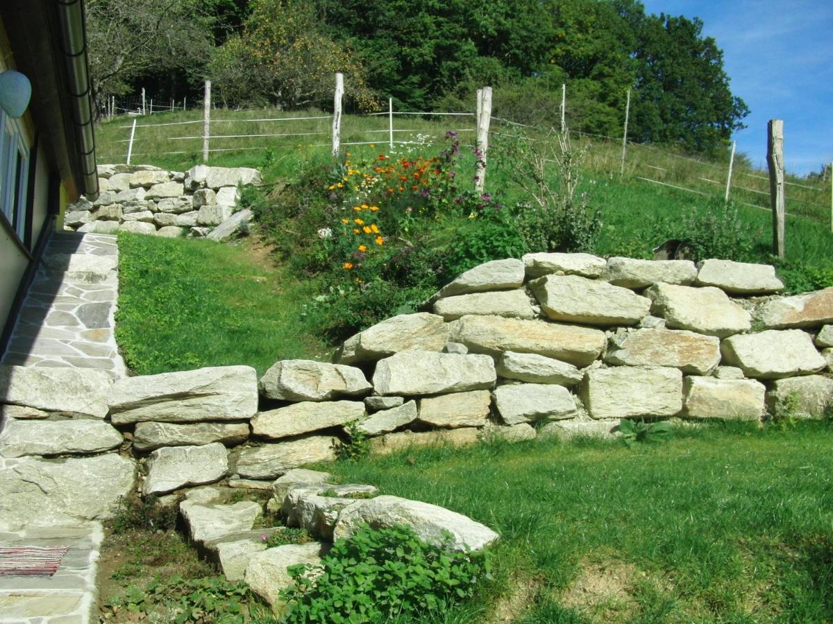 Ferienhaus Grabenhansl Stubenberg Esterno foto