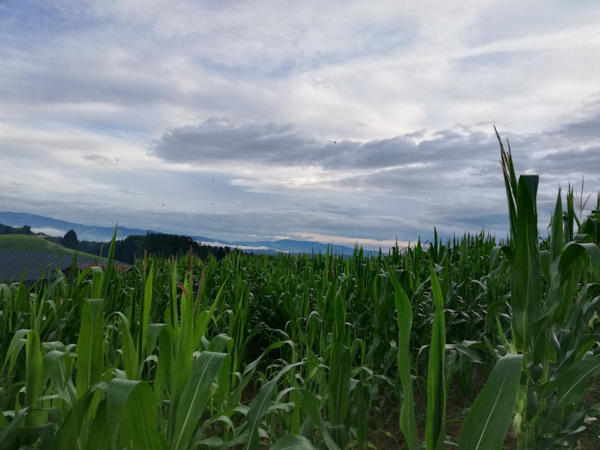 Ferienhaus Grabenhansl Stubenberg Esterno foto