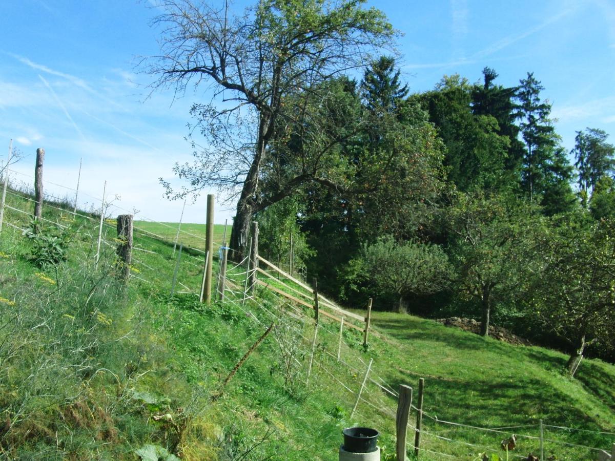 Ferienhaus Grabenhansl Stubenberg Esterno foto