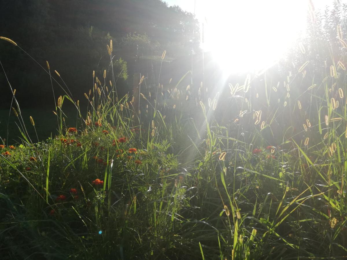 Ferienhaus Grabenhansl Stubenberg Esterno foto
