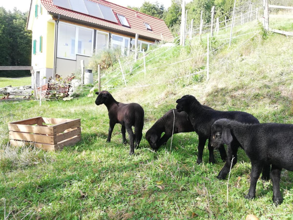 Ferienhaus Grabenhansl Stubenberg Esterno foto