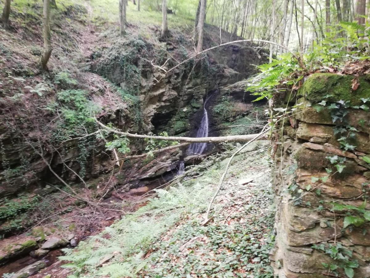 Ferienhaus Grabenhansl Stubenberg Esterno foto
