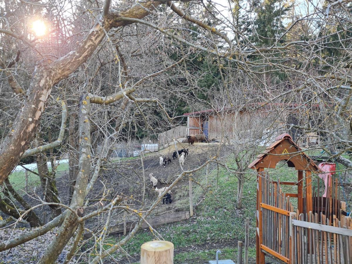 Ferienhaus Grabenhansl Stubenberg Esterno foto