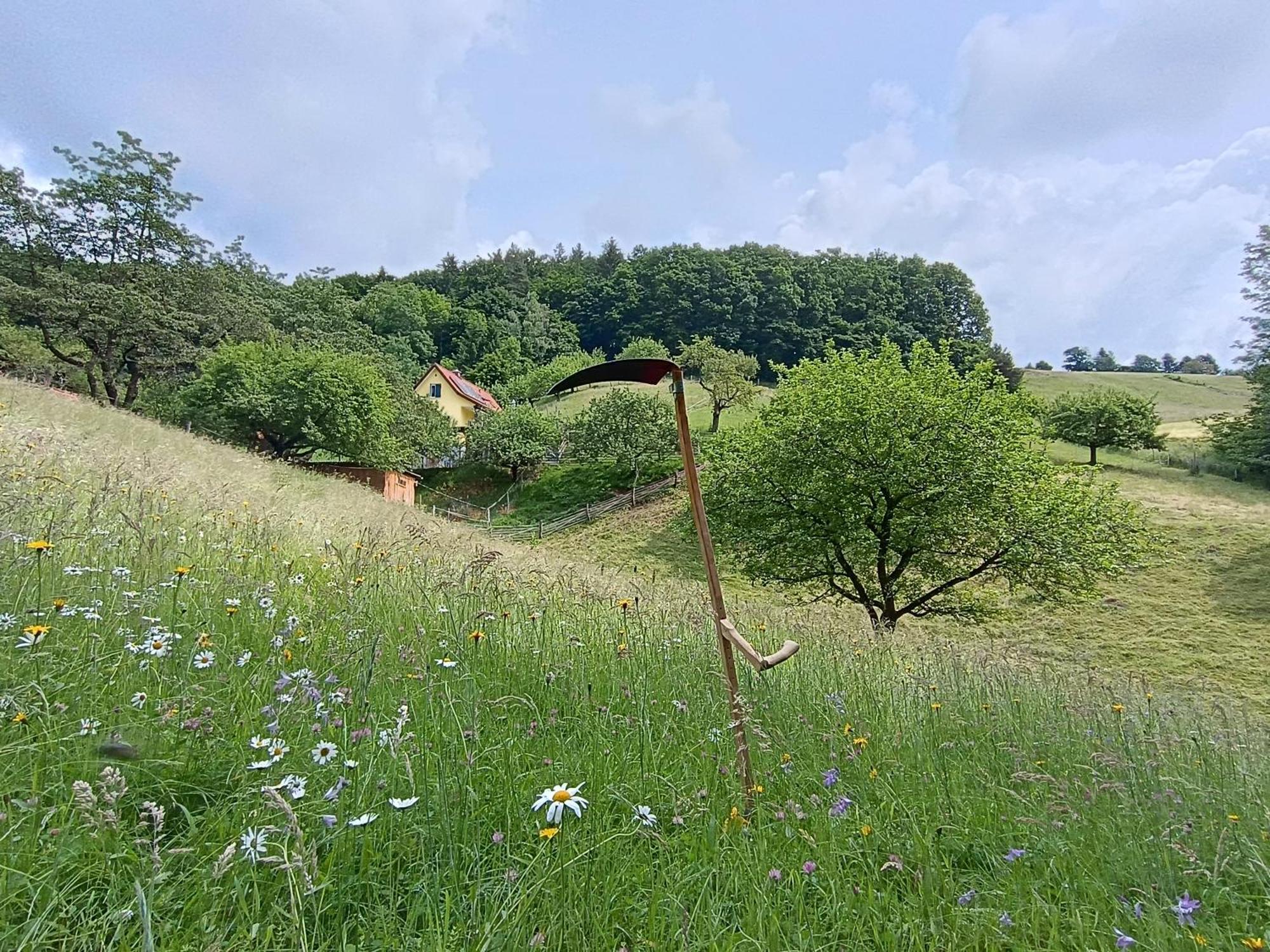 Ferienhaus Grabenhansl Stubenberg Esterno foto