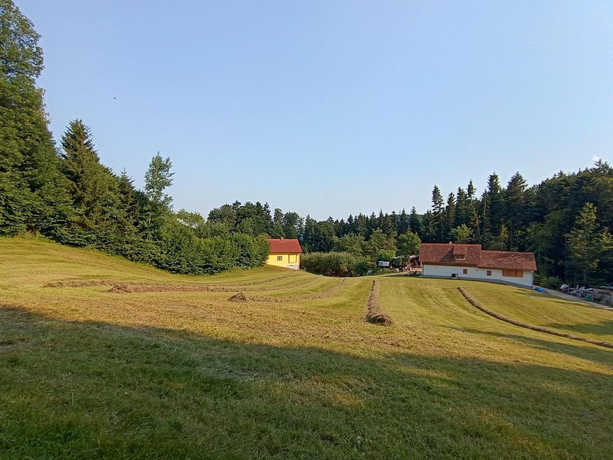 Ferienhaus Grabenhansl Stubenberg Esterno foto