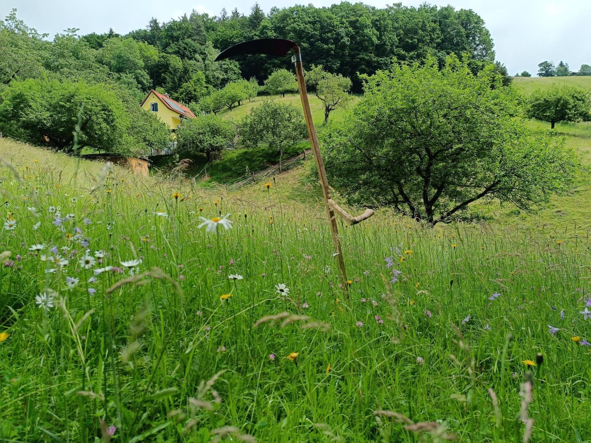 Ferienhaus Grabenhansl Stubenberg Esterno foto